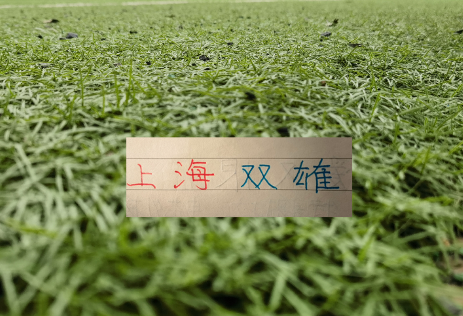 Ảnh